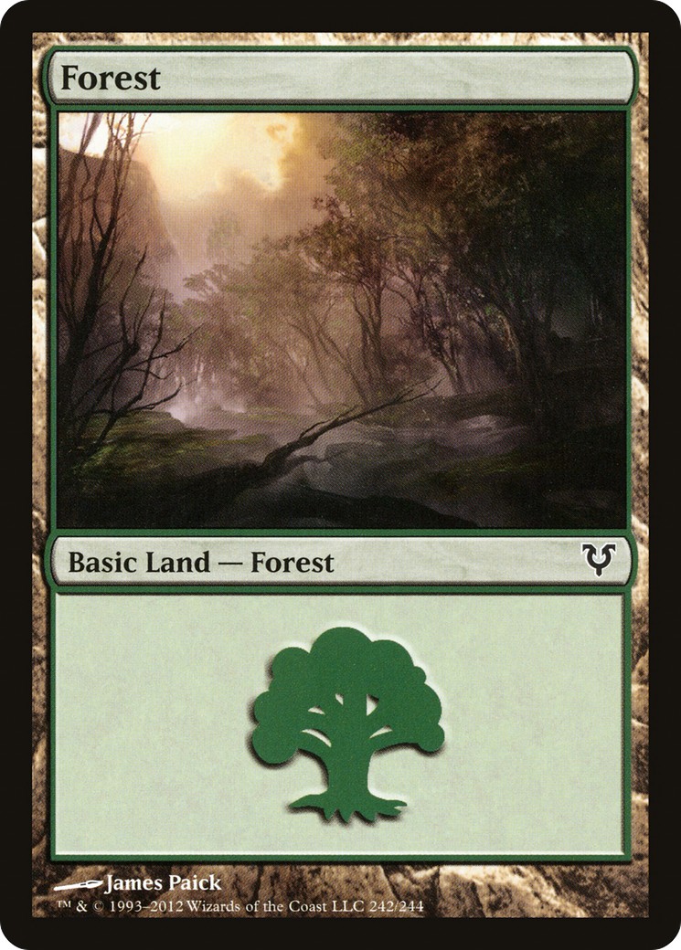 Forest - Image 1