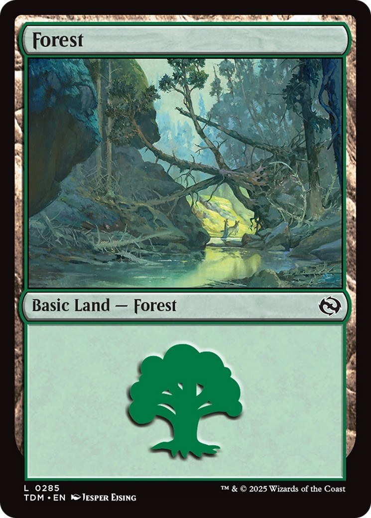 Forest - Image 1