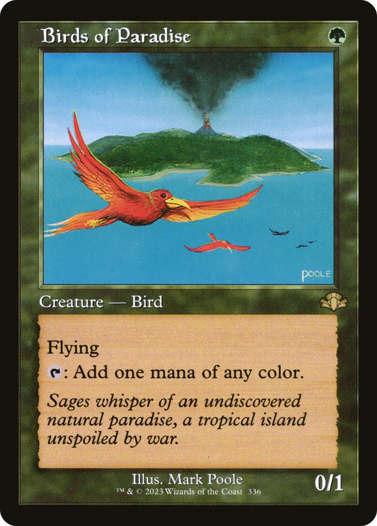 Birds of Paradise - Image 1