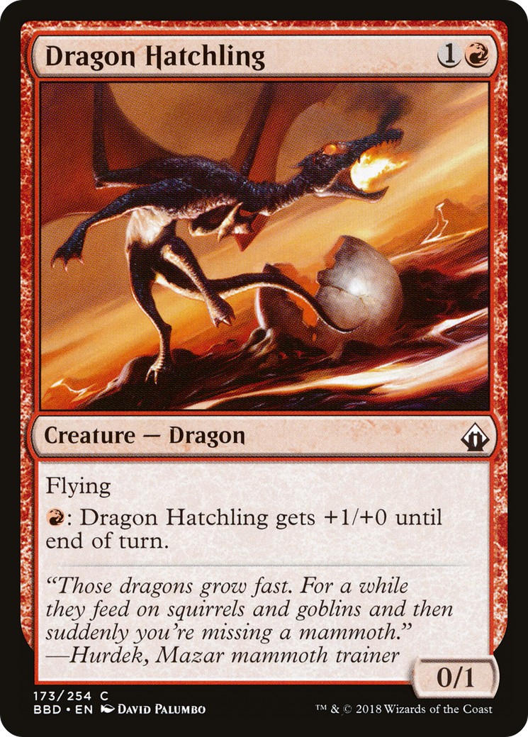 Dragon Hatchling - Image 1