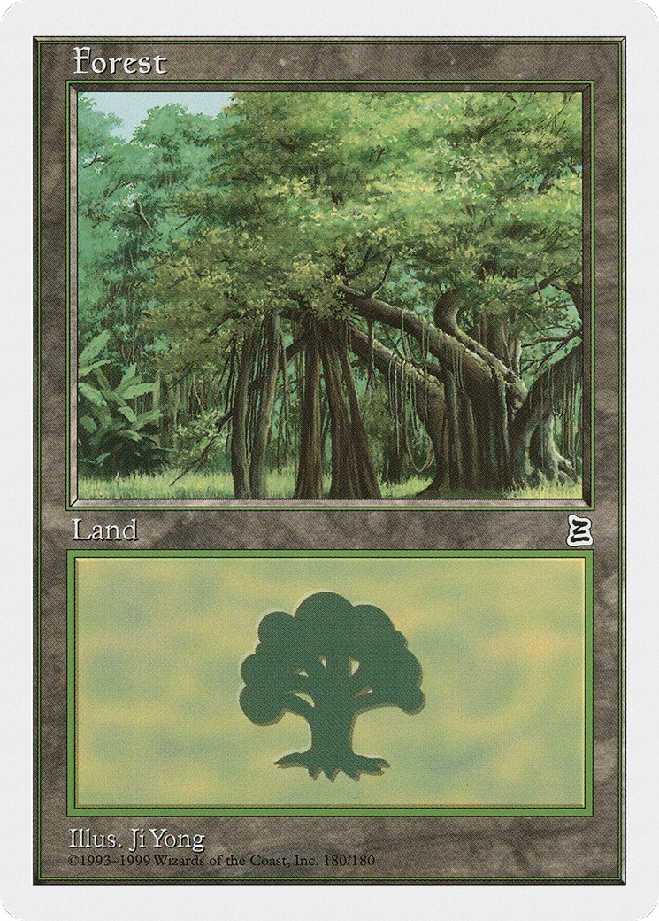Forest - Image 1
