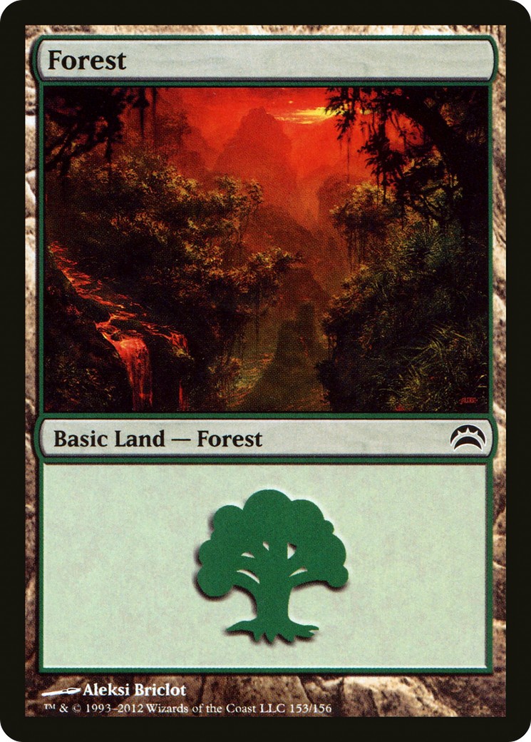 Forest - Image 1