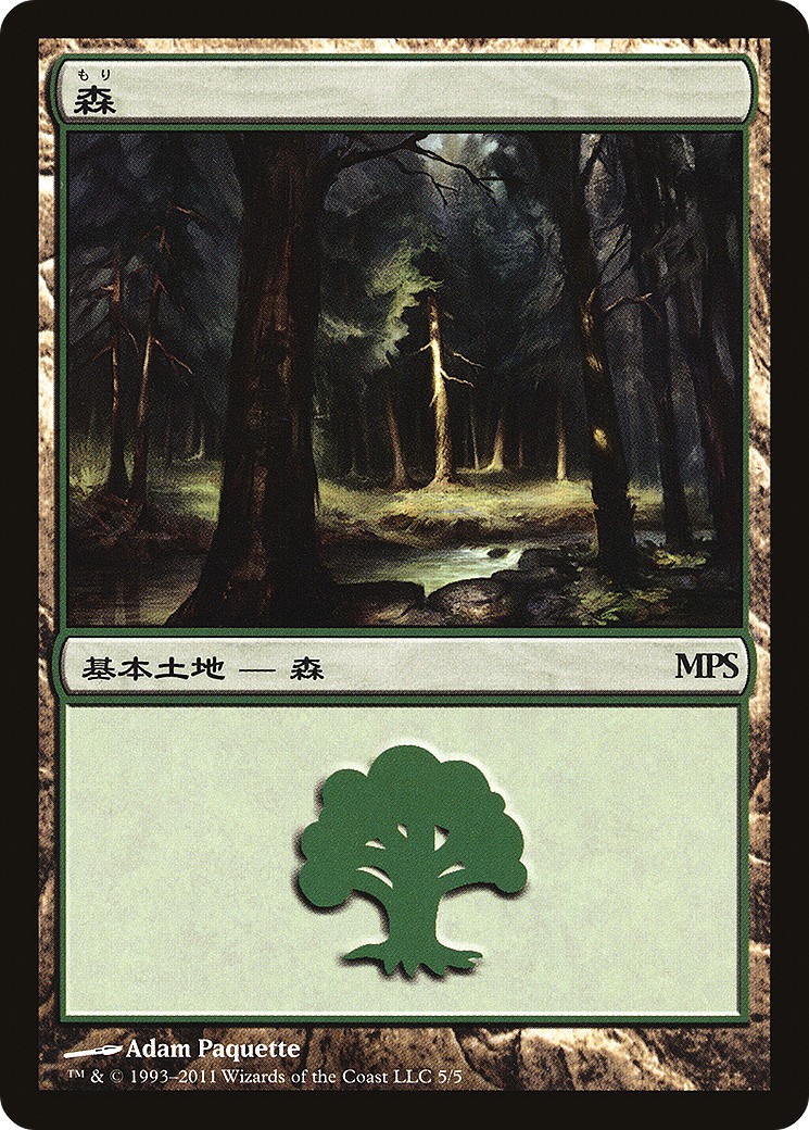 Forest - Image 1