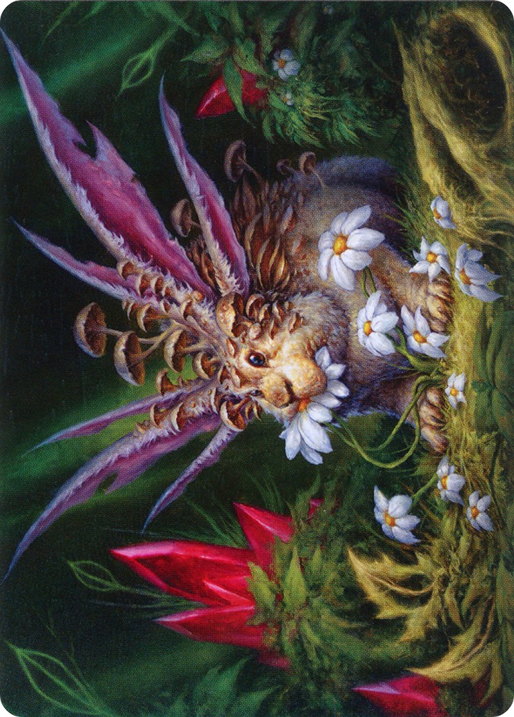 Placid Rottentail // Placid Rottentail - Image 1