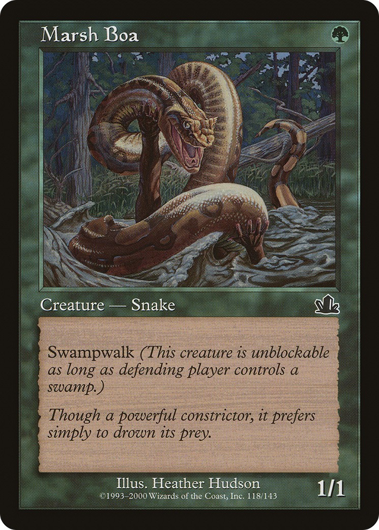 Marsh Boa - Image 1