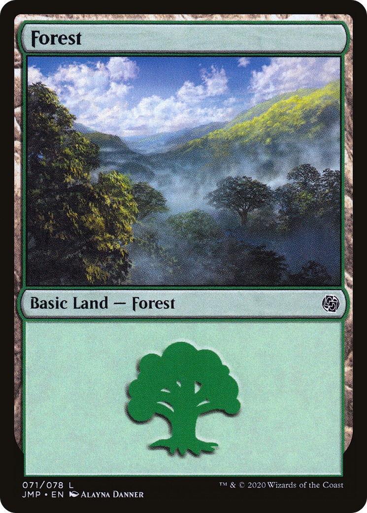 Forest - Image 1