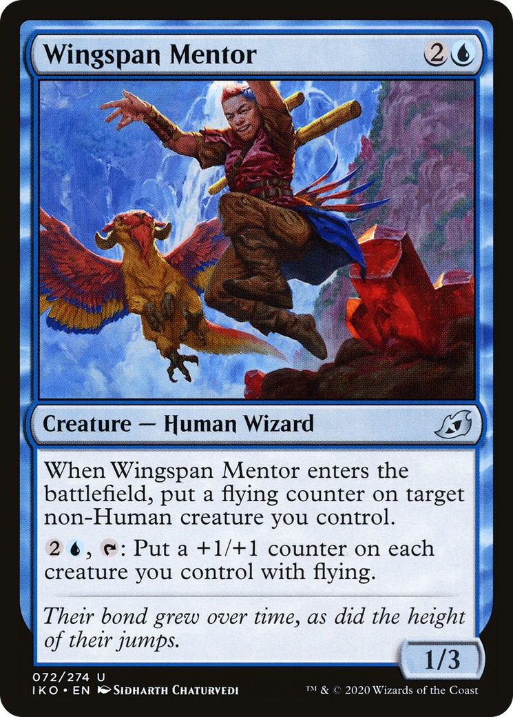 Wingspan Mentor - Image 1