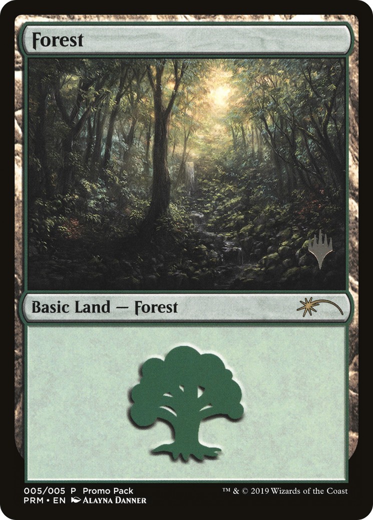 Forest - Image 1