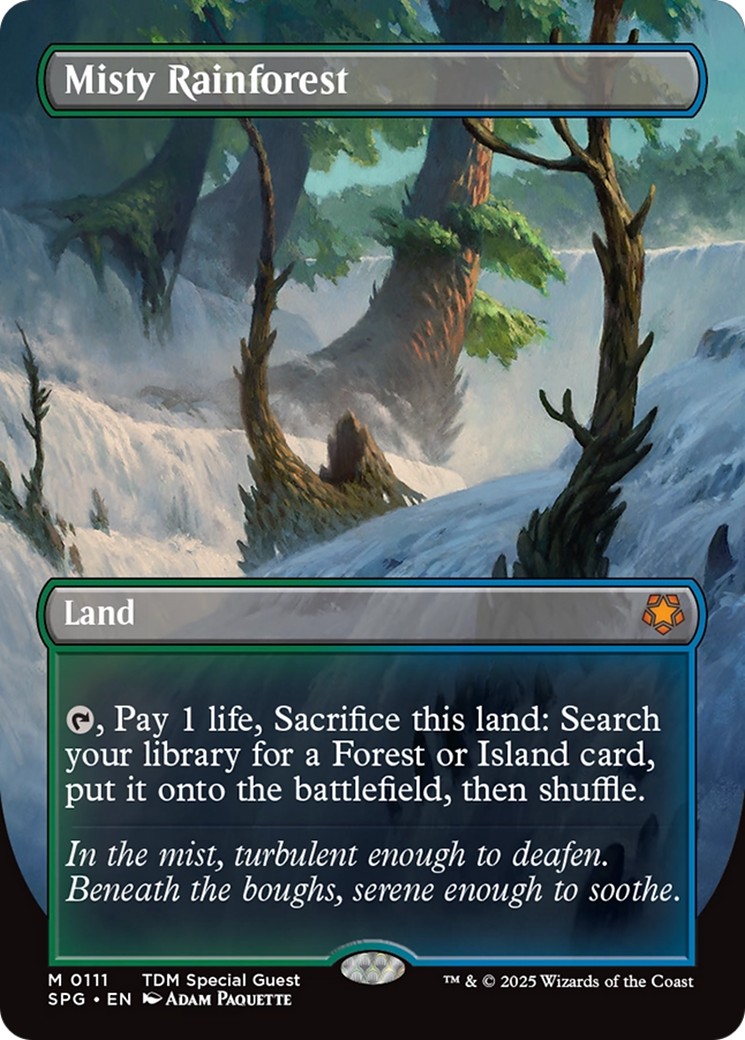 Misty Rainforest - Image 1