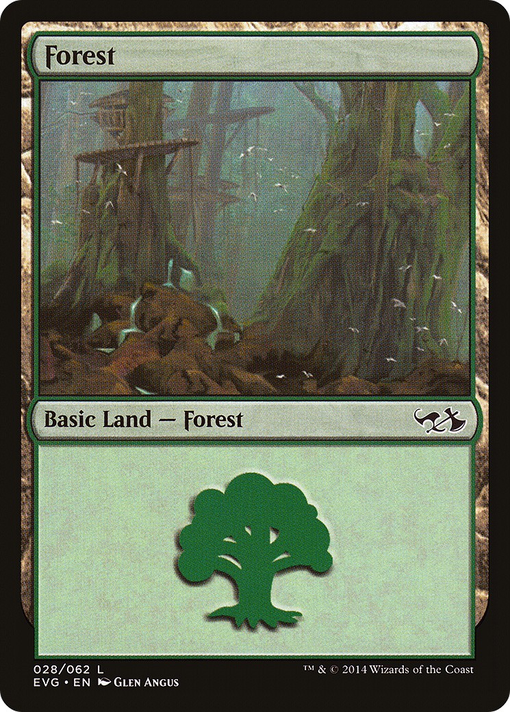 Forest - Image 1