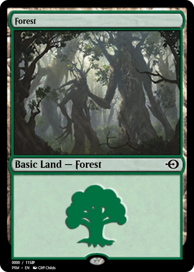 Forest - Image 1