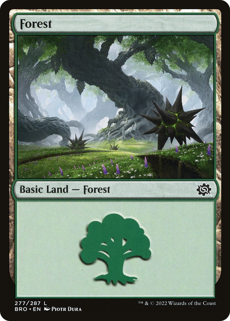 Forest - Image 1