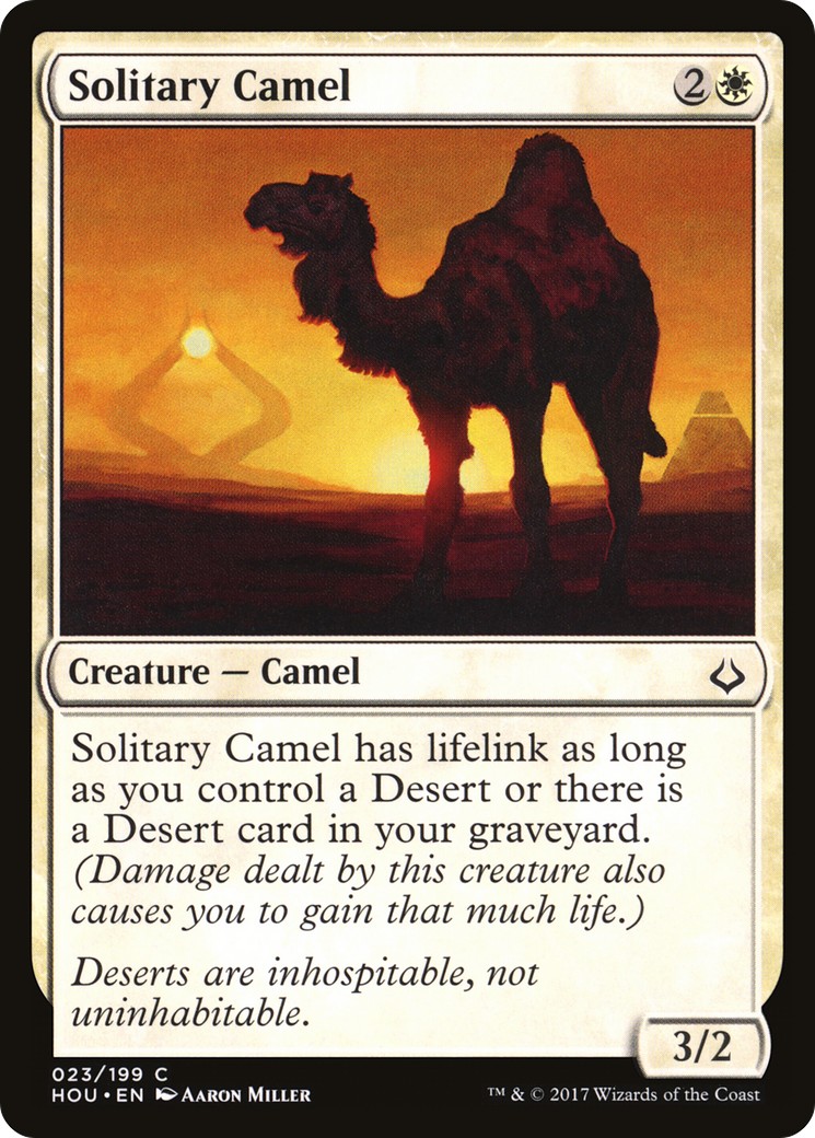Solitary Camel - Image 1