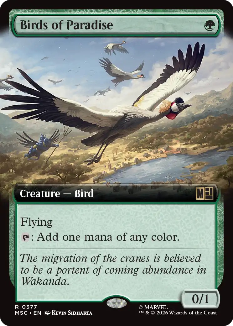 Birds of Paradise - Image 1