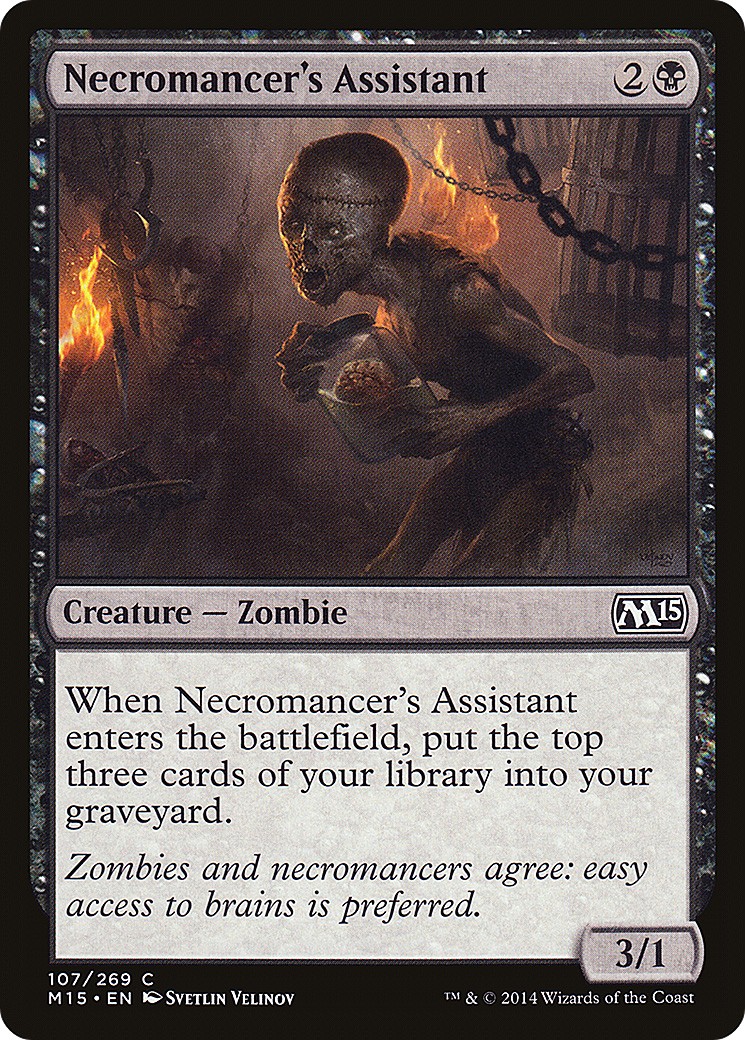 Necromancer's Assistant - Image 1