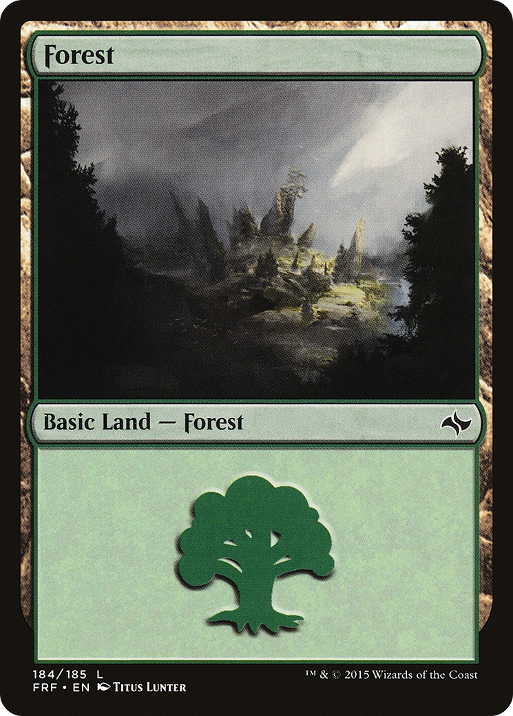 Forest - Image 1