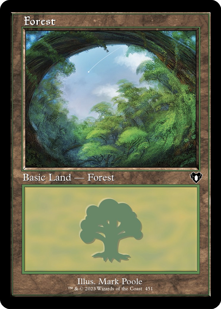 Forest - Image 1