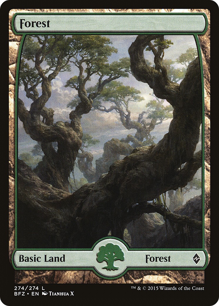 Forest - Image 1