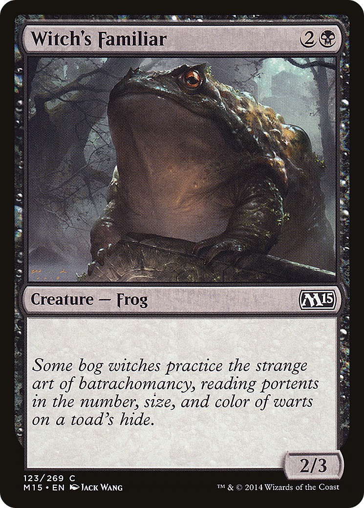 Witch's Familiar - Image 1