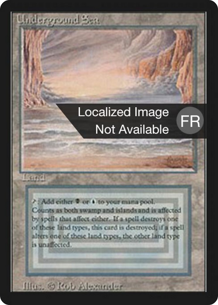 1994 Magic: The Gathering Foreign Black Border 1994 Magic: The Gathering Foreign Black Border #290 trading card