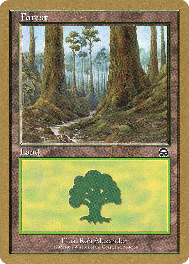 Forest - Image 1