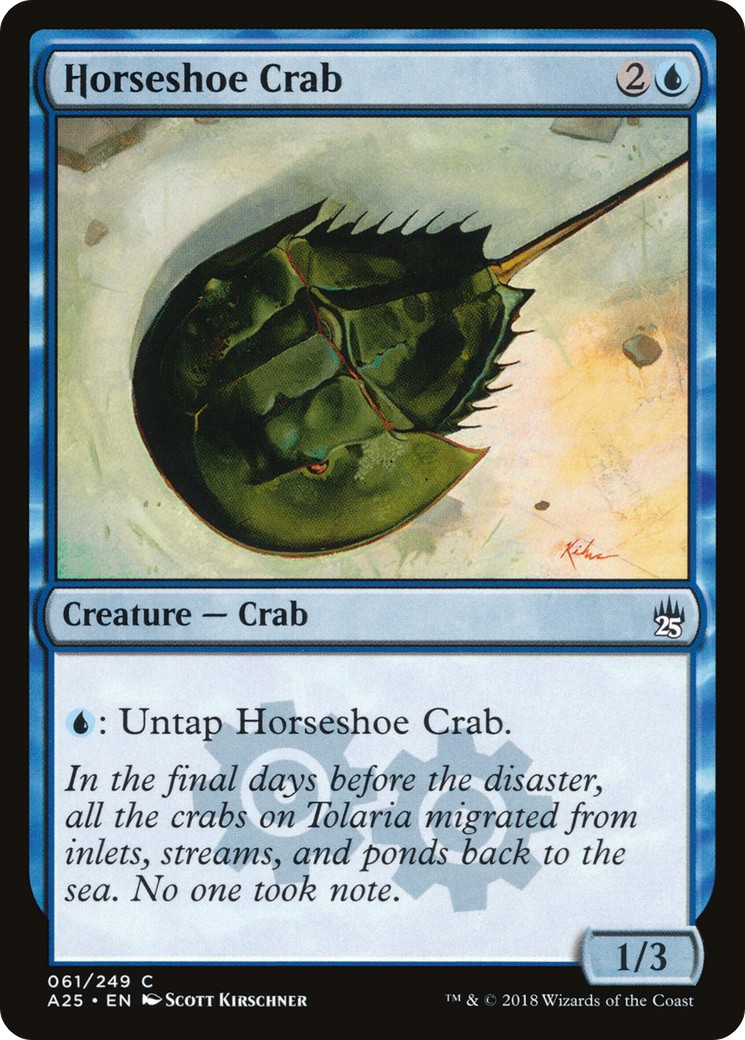 Horseshoe Crab - Image 1