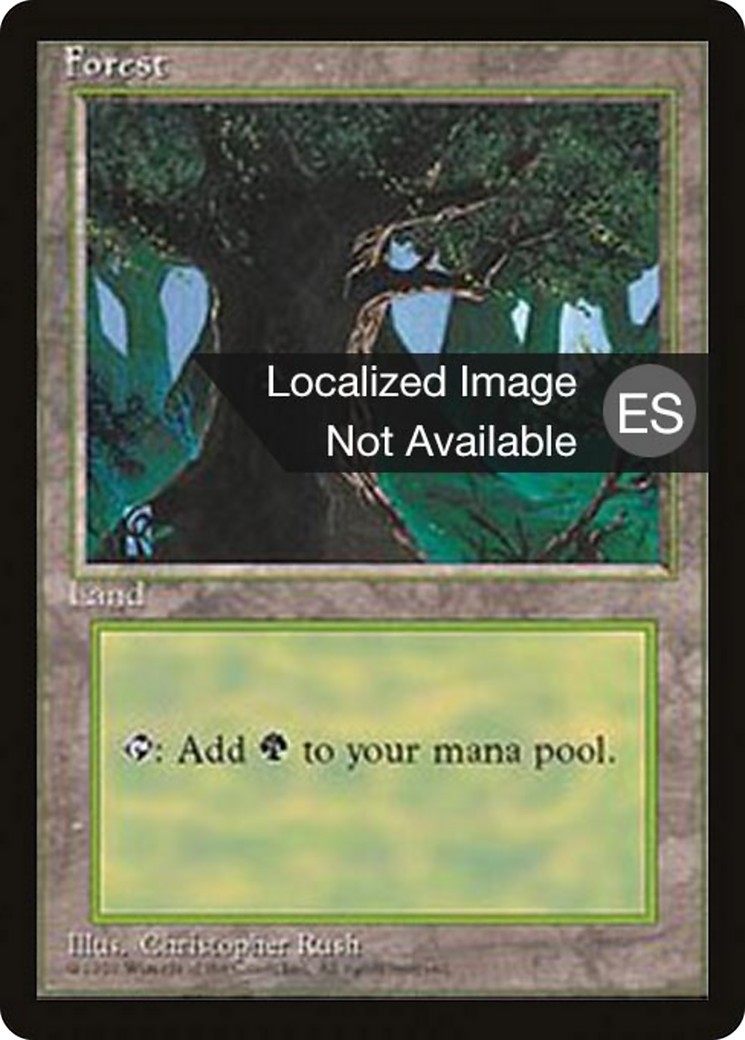 Forest - Image 1