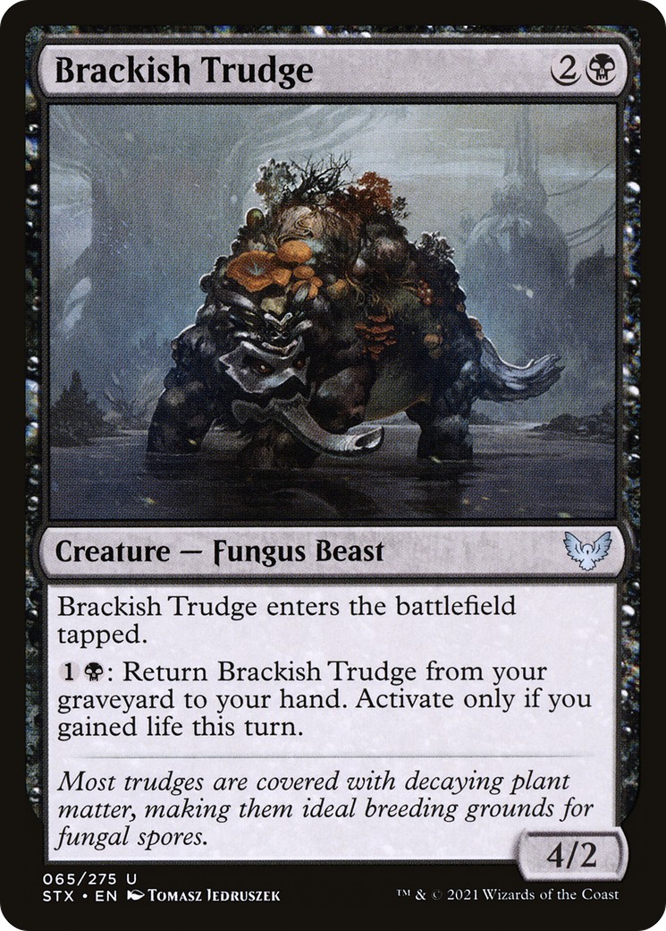 2021 Magic: The Gathering Strixhaven: School of Mages 2021 Magic: The Gathering Strixhaven: School of Mages #65 trading card