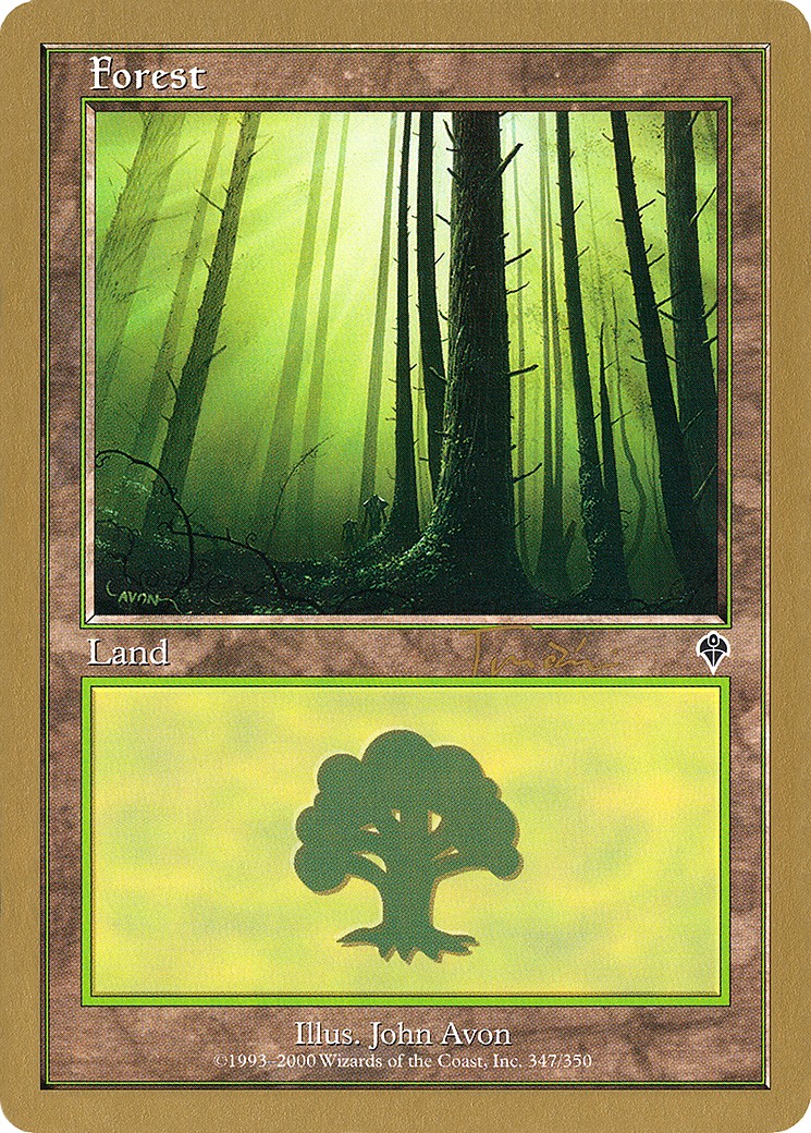 Forest - Image 1