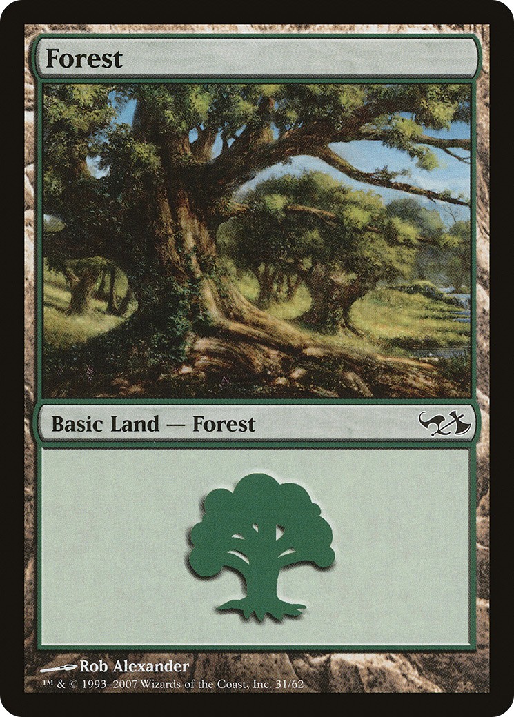 Forest - Image 1