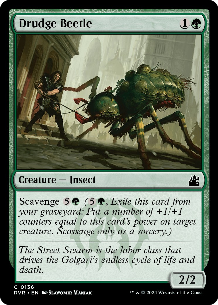 Drudge Beetle - Image 1