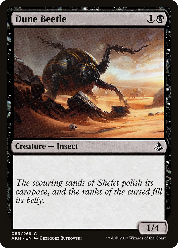Dune Beetle - Image 1