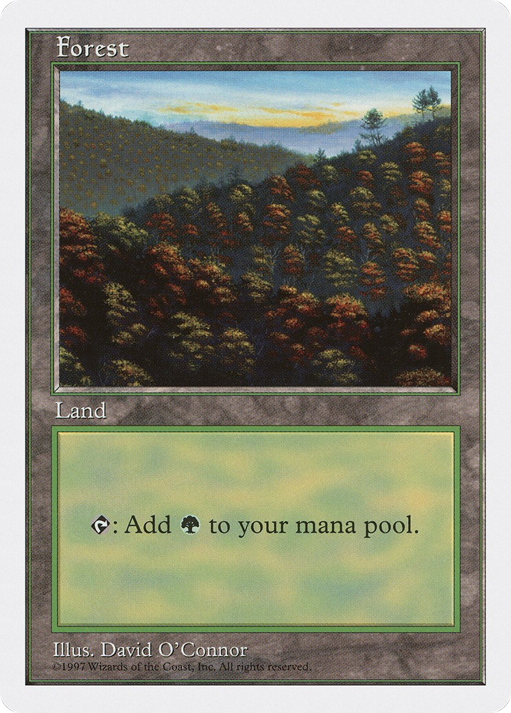 Forest - Image 1