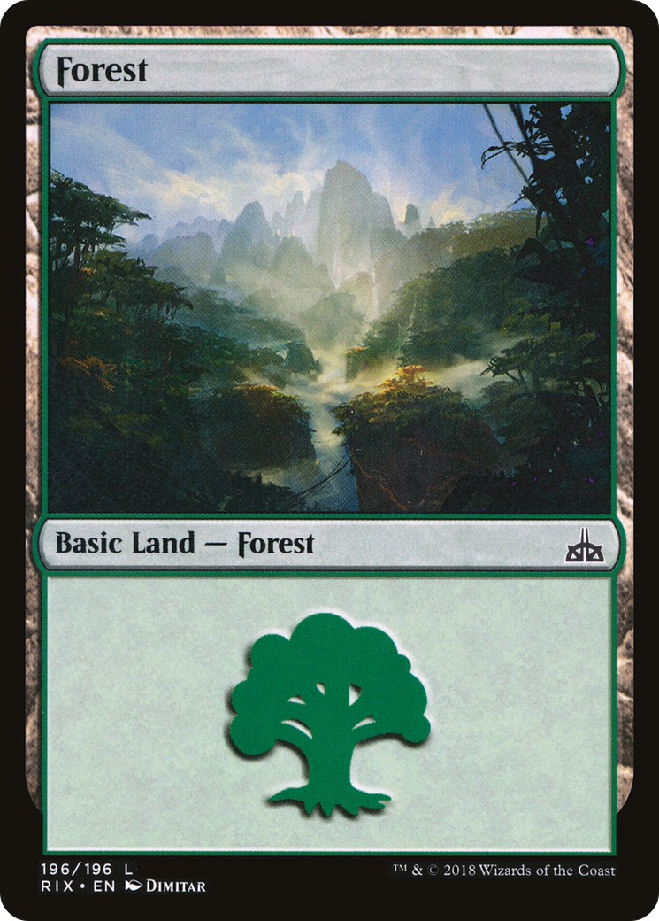Forest - Image 1