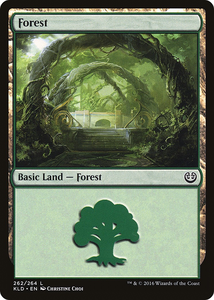 Forest - Image 1