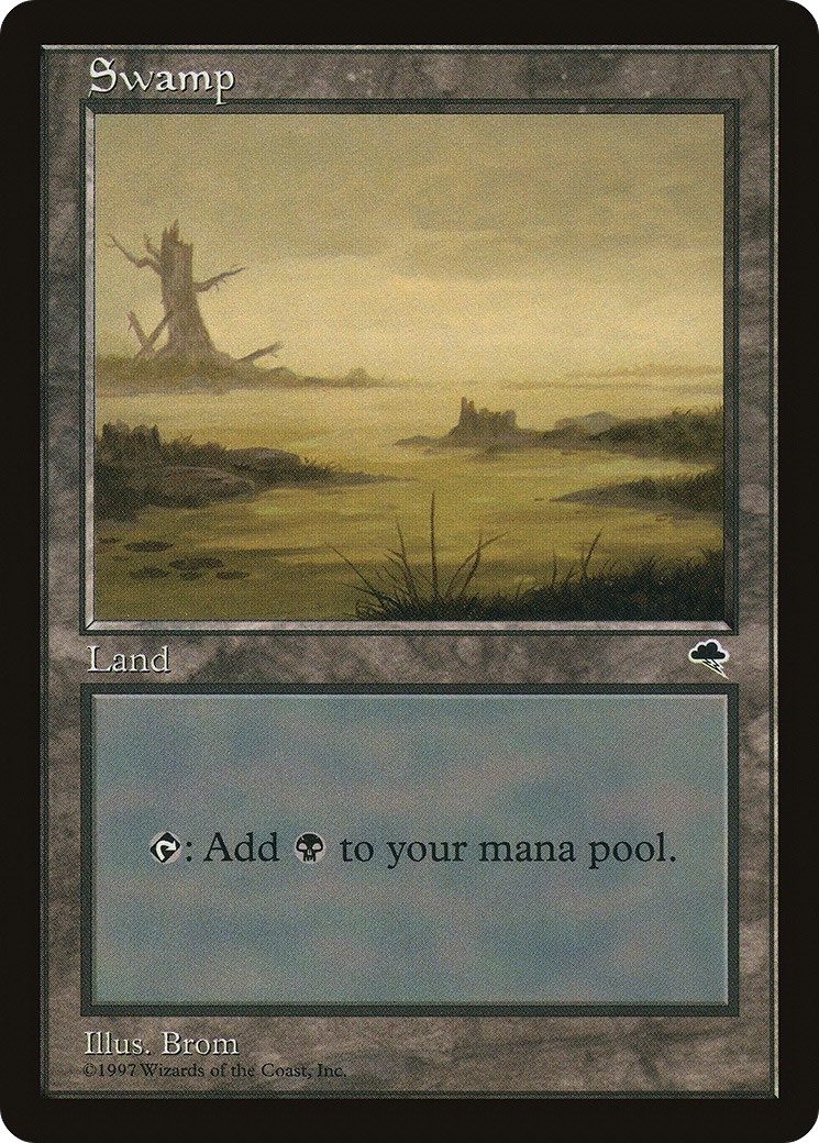 Swamp - Image 1