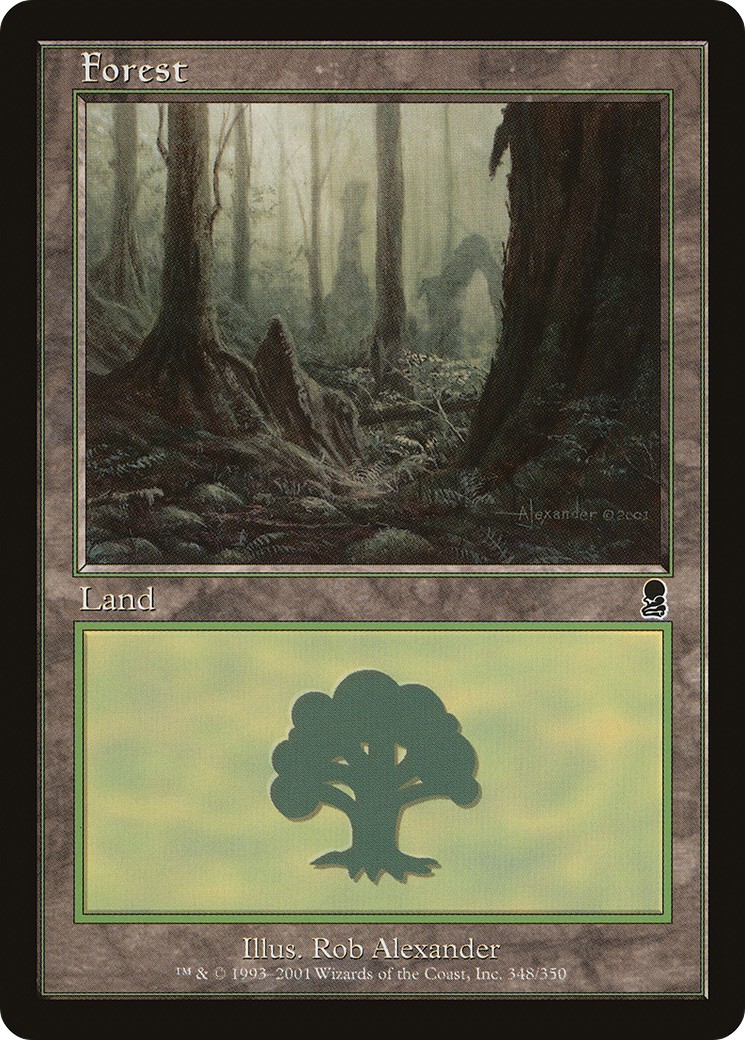 Forest - Image 1