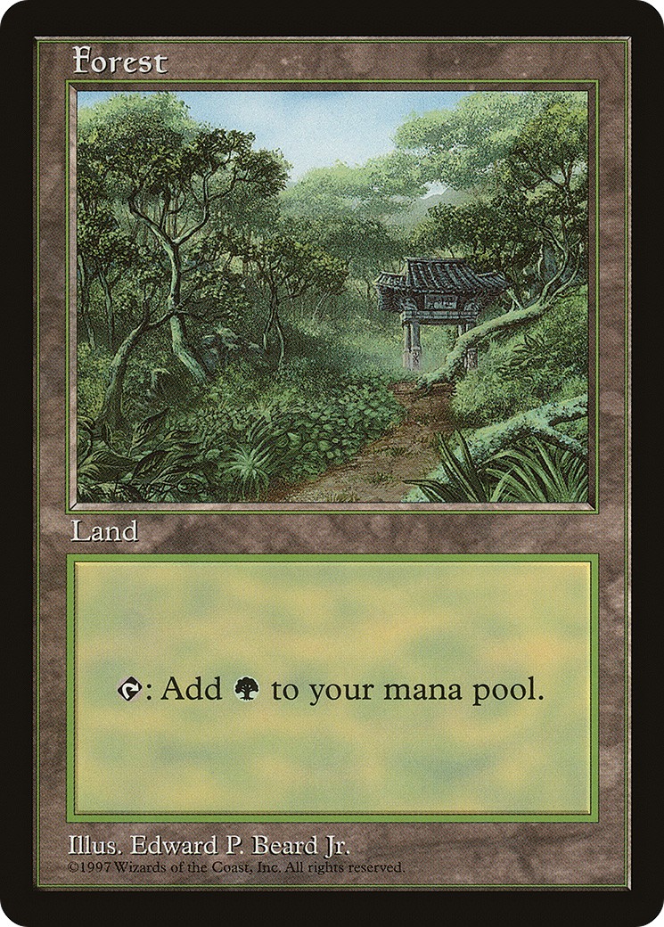1998 Magic: The Gathering Asia Pacific Land Program Forest #11 trading card