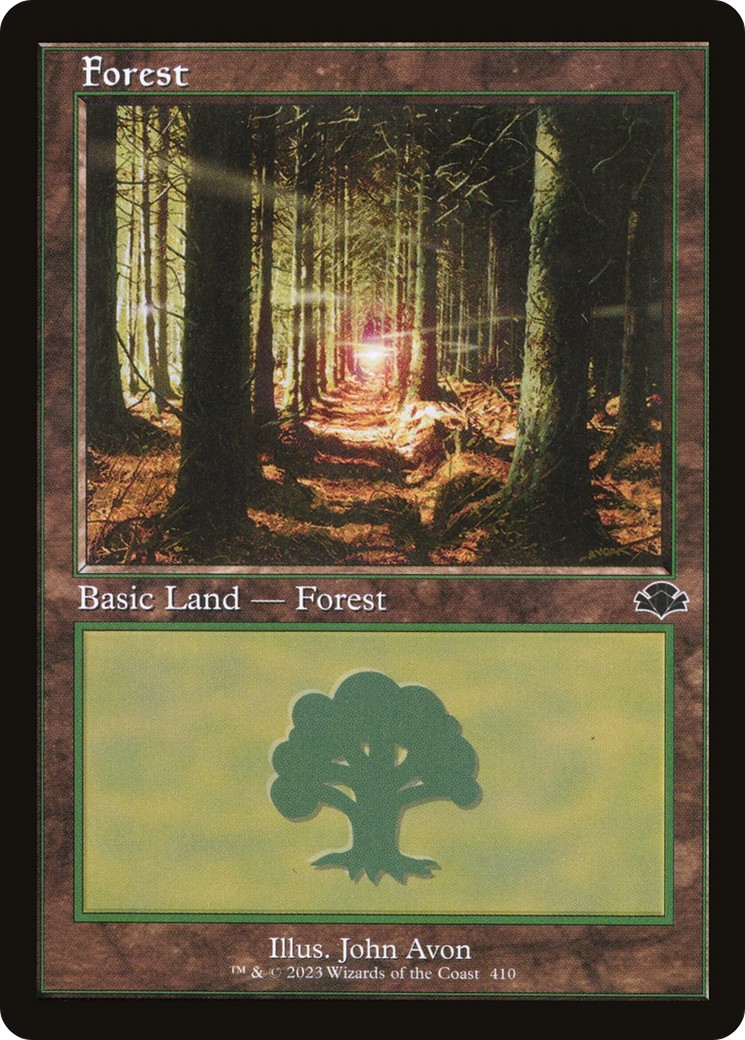 Forest - Image 1
