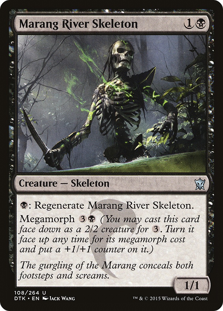 Marang River Skeleton - Image 1
