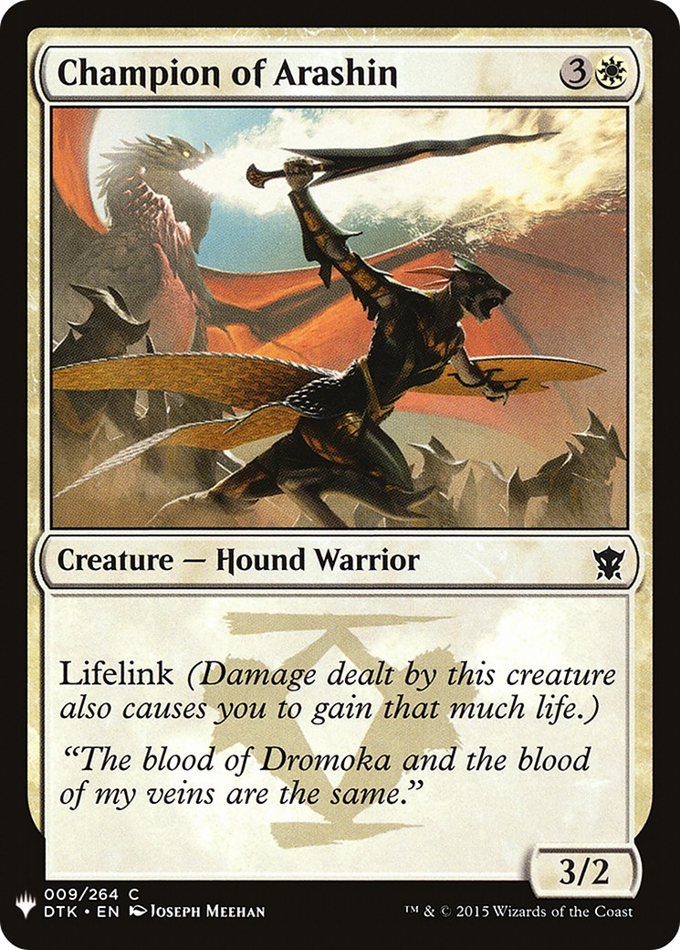 Champion of Arashin - Image 1