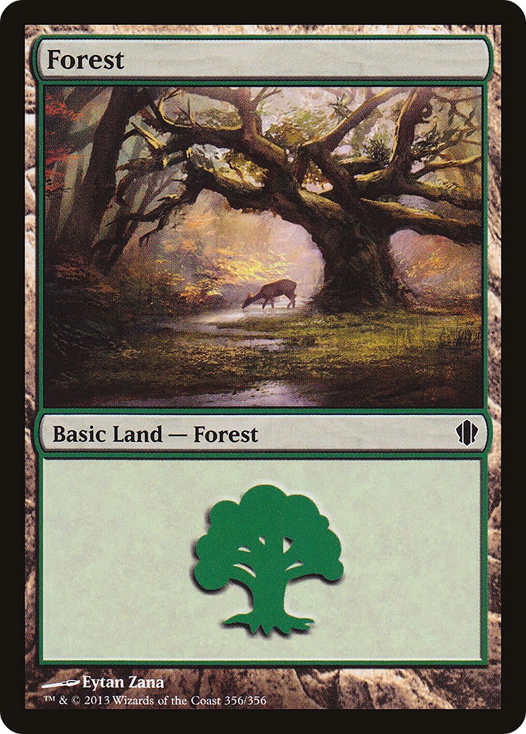 Forest - Image 1