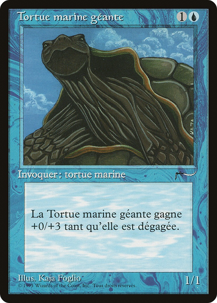 Giant Tortoise - Image 1