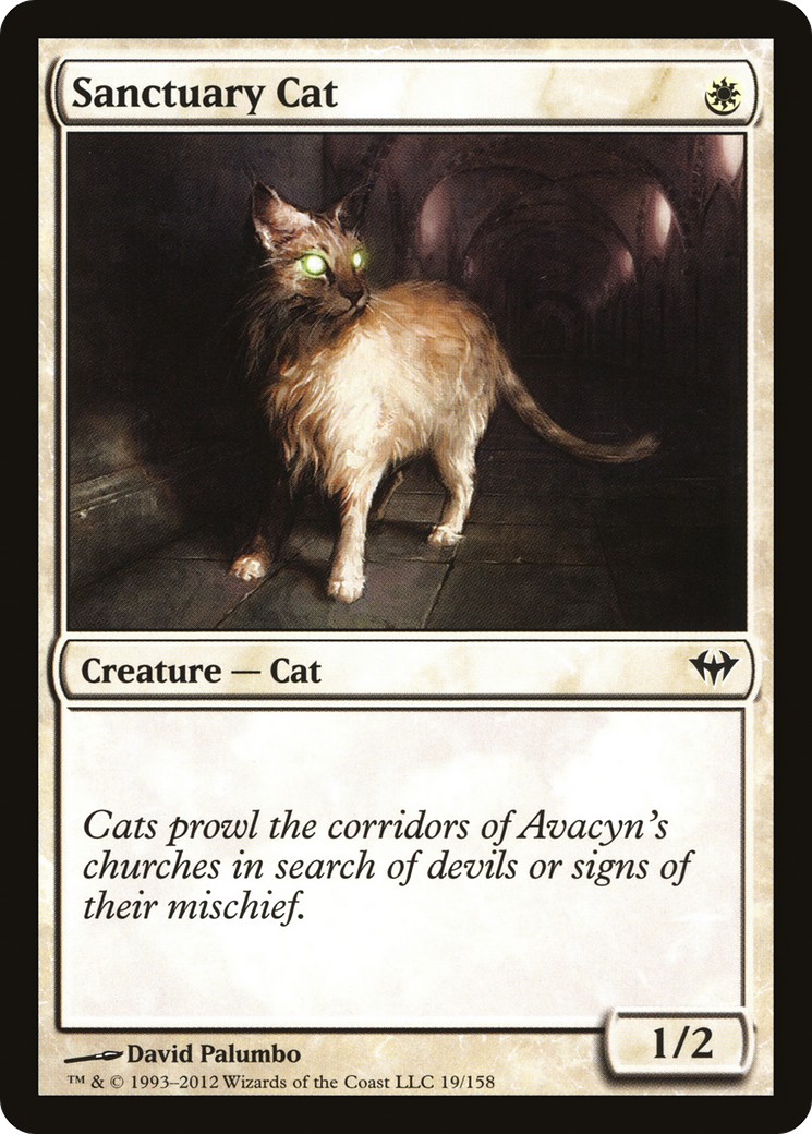 Sanctuary Cat - Image 1