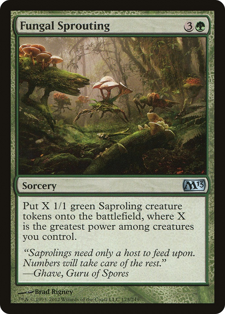 Fungal Sprouting - Image 1