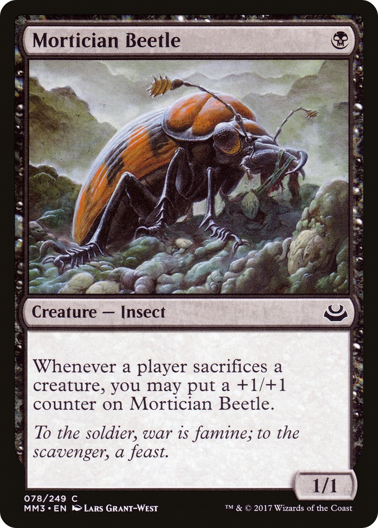 Mortician Beetle - Image 1