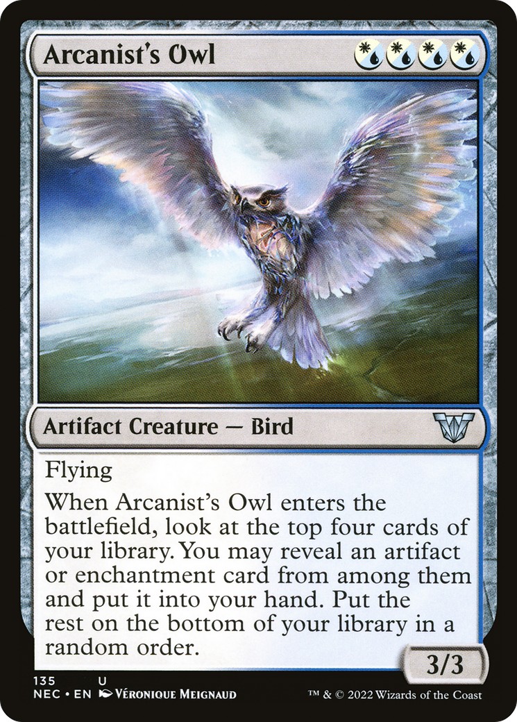 Arcanist's Owl - Image 1