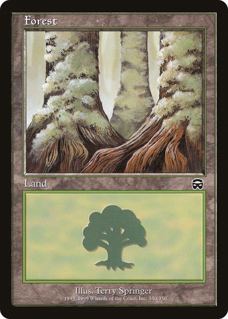 Forest - Image 1