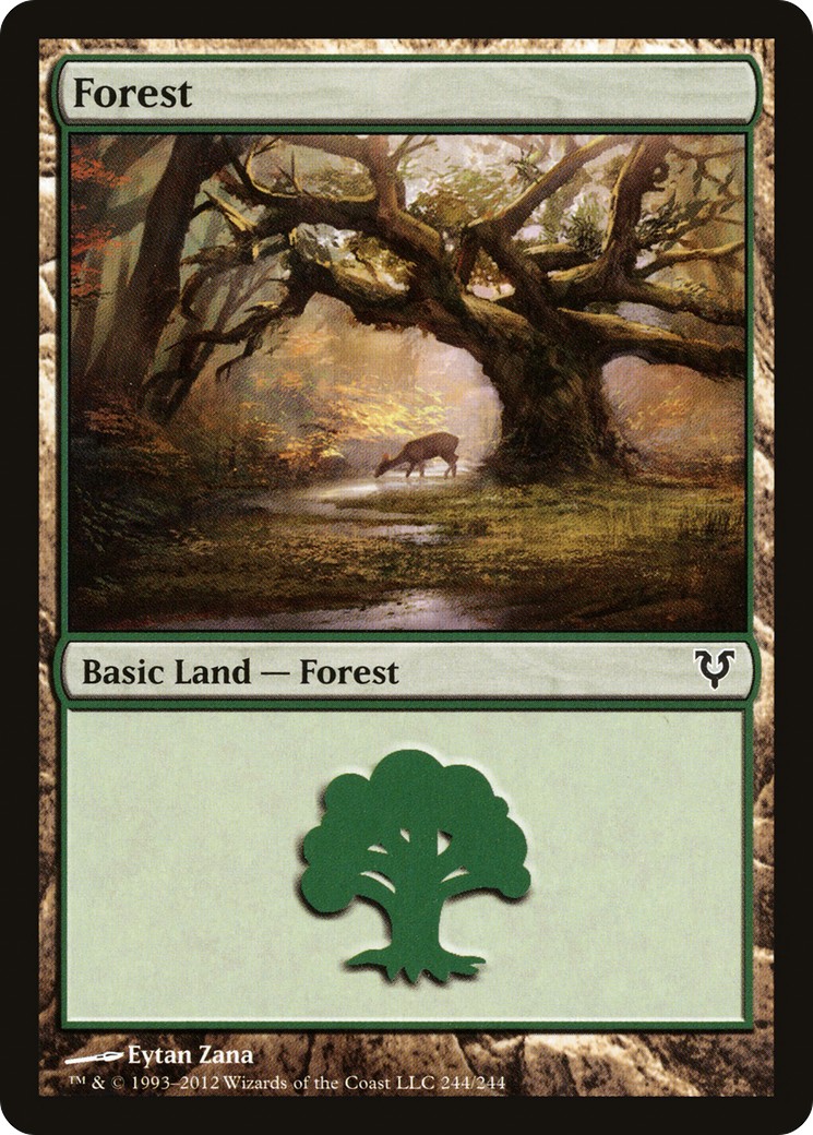 Forest - Image 1