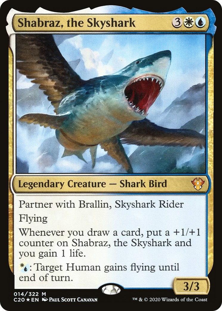 Shabraz, the Skyshark - Image 1
